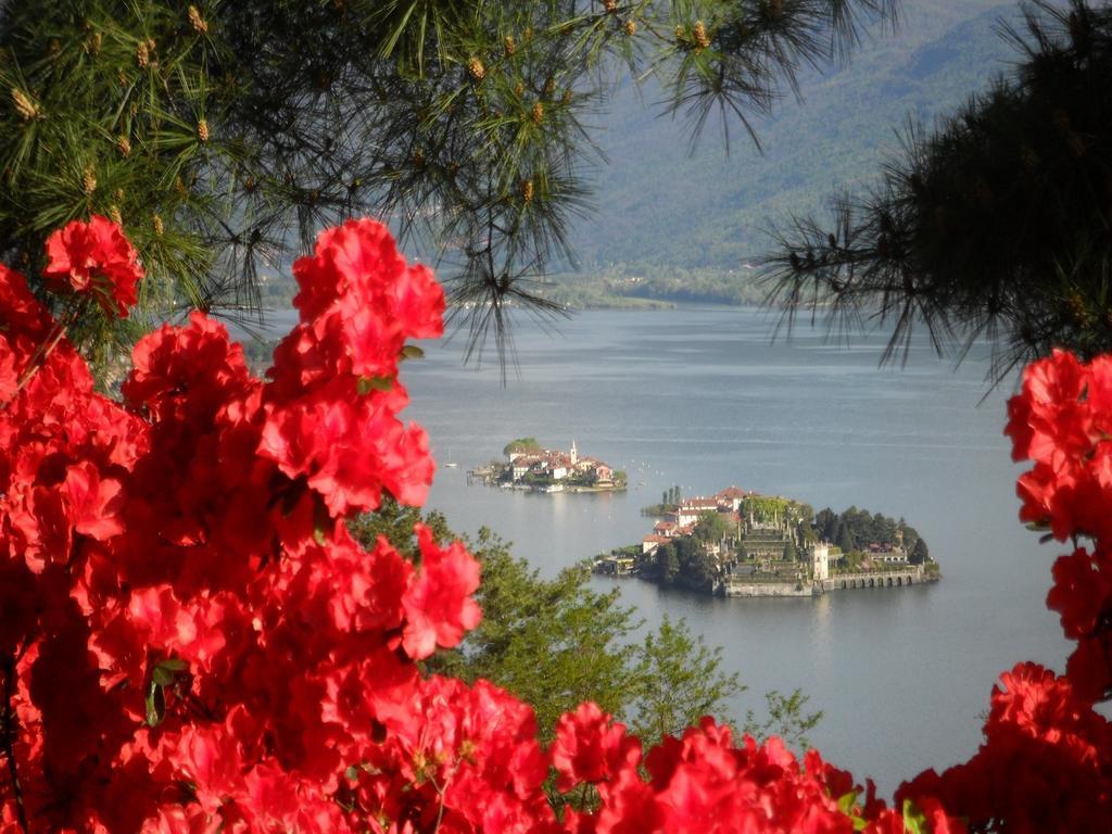 B&B Villa La Camana Stresa Buitenkant foto